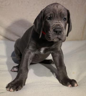 Marie vom Ysenburger Bergland