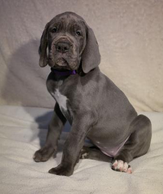 Madonna vom Ysenburger Bergland