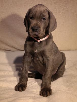 Meggie vom Ysenburger Bergland