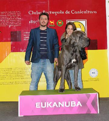 Ch Meison DE CASA ALANIA