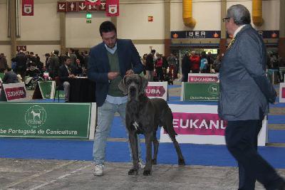 Ch Meison DE CASA ALANIA