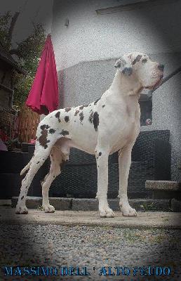 Ch Massimo Dell Alto Feudo