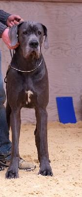 Ernesto vom Altm�hlerhof