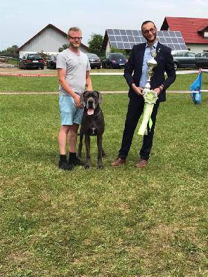 Ernesto vom Altmhlerhof