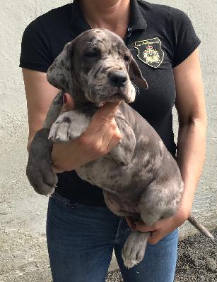 Jasmine Von Schlesien