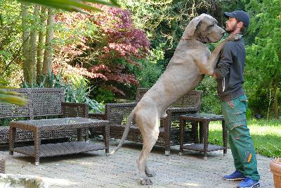 Lohendra de la Benjamine