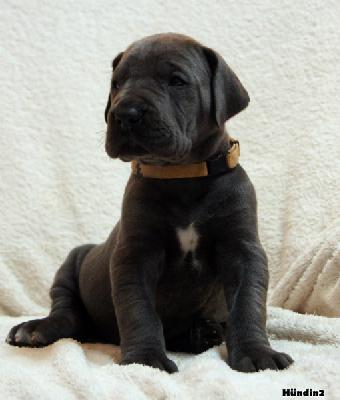 Penelope-Bonny von Tara