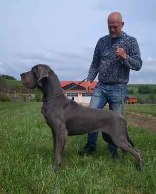 Centuria Vom Hause Wagner