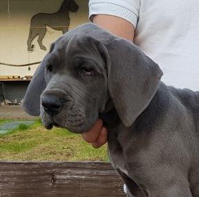 Creativa Vom Hause Wagner