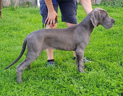 Creativa Vom Hause Wagner