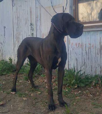 Creation Vom Hause Wagner