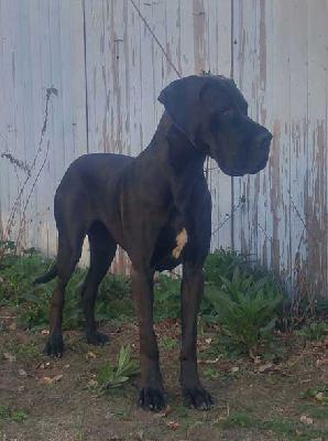 Creation Vom Hause Wagner