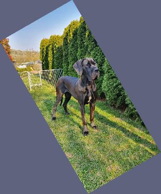 Creation Vom Hause Wagner