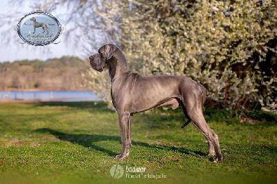 Ch FAkarshaan Endurial