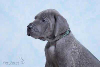 Tequila von der Wolfsh�hle