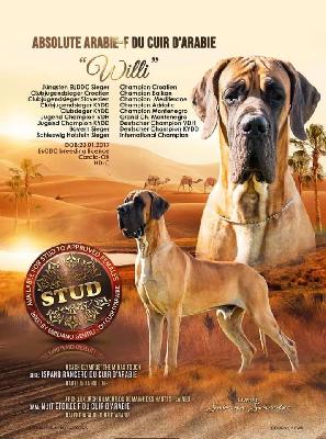 Ch Absolute Arabie du Cuire dArabie