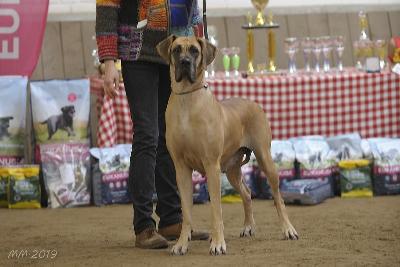 Yandra Vom Waldfrieden