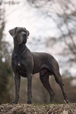 Cherkan Heinrich von der Frnkischen Schweiz