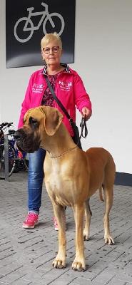 Gerda vom Hause Rawert