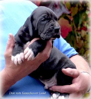 Der Hannes Vom Ganschower Land