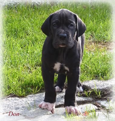 Der Hannes Vom Ganschower Land