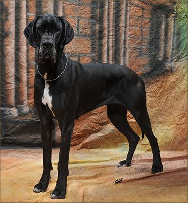 Debby Vom Ganschower Land