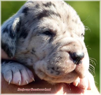Dunja Vom Ganschower Land