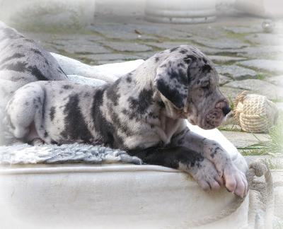 Dunja Vom Ganschower Land