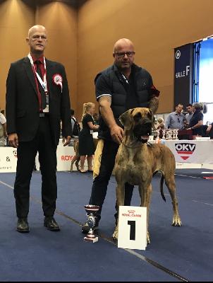 Ch Elishia Vom Herstallturm