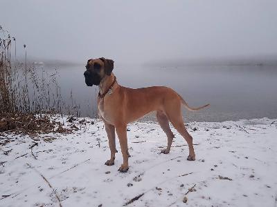 Kathy vom Altranstdter Schlo