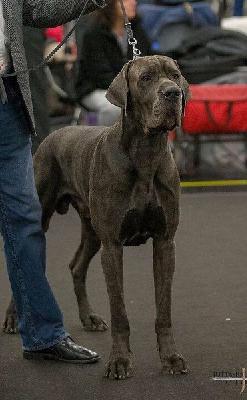 Sir THADDÄUS Tentakel vom Frankenland