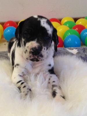 Anni von Glanz und Gloria