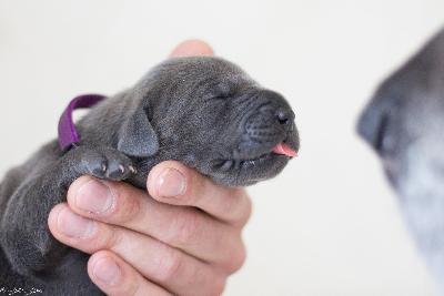 Clarissa vom R�uberbaron