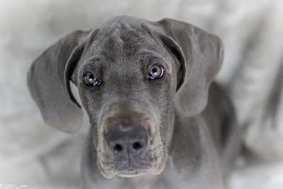 Carla vom Ruberbaron