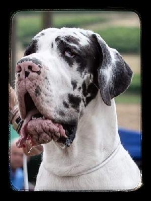 Fantastic vom Nassauer Land