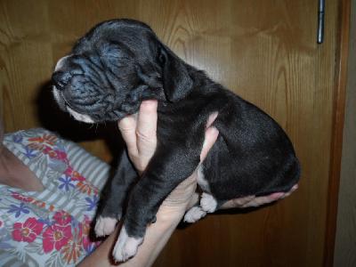 Pamina vom Sch�ntal