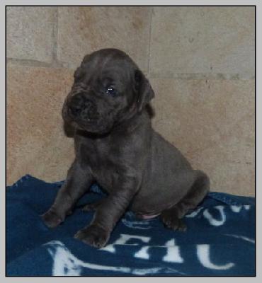 Vegas von der Wolfshoehle