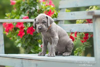 Vegas von der Wolfshoehle