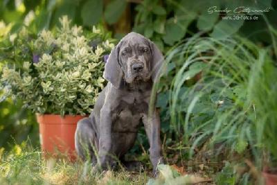 Vegas von der Wolfshoehle