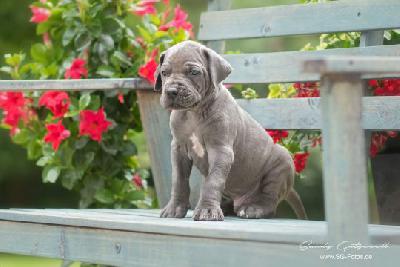 Victor-Thorwyn von der Wolfsh�hle