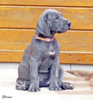 Quintala Vom Edersee