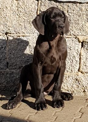 Einzelkind Vom Hause Wagner