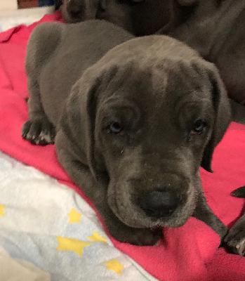 Gundula-Gause vom Altm�hlerhof