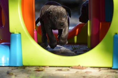 Gundula-Gause vom Altm�hlerhof