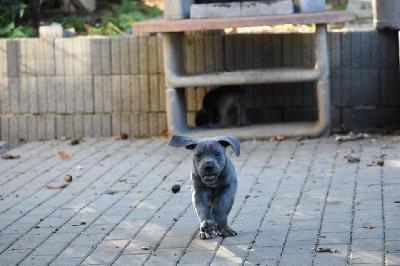 Gudrun vom Altm�hlerhof