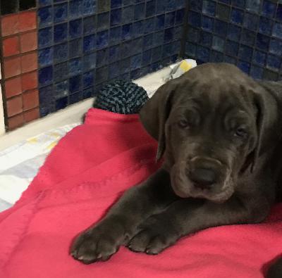 Gisela vom Altm�hlerhof