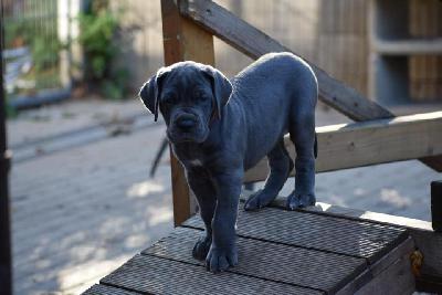 Gisela vom Altm�hlerhof