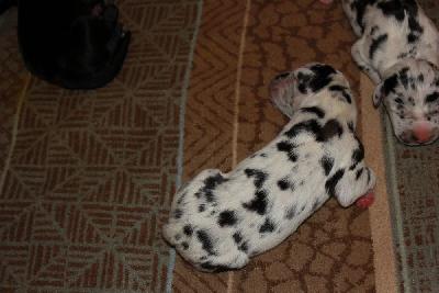 Jackpot vom Hause Rawert