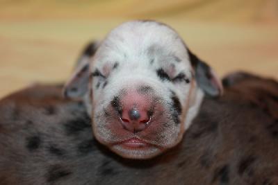 Jackpot vom Hause Rawert