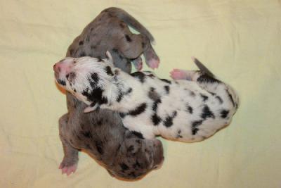 Jackpot vom Hause Rawert